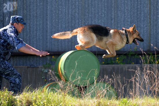 Russia Dog Handlers Competition
