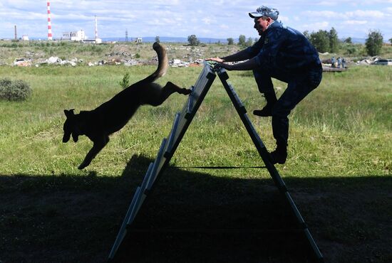 Russia Dog Handlers Competition