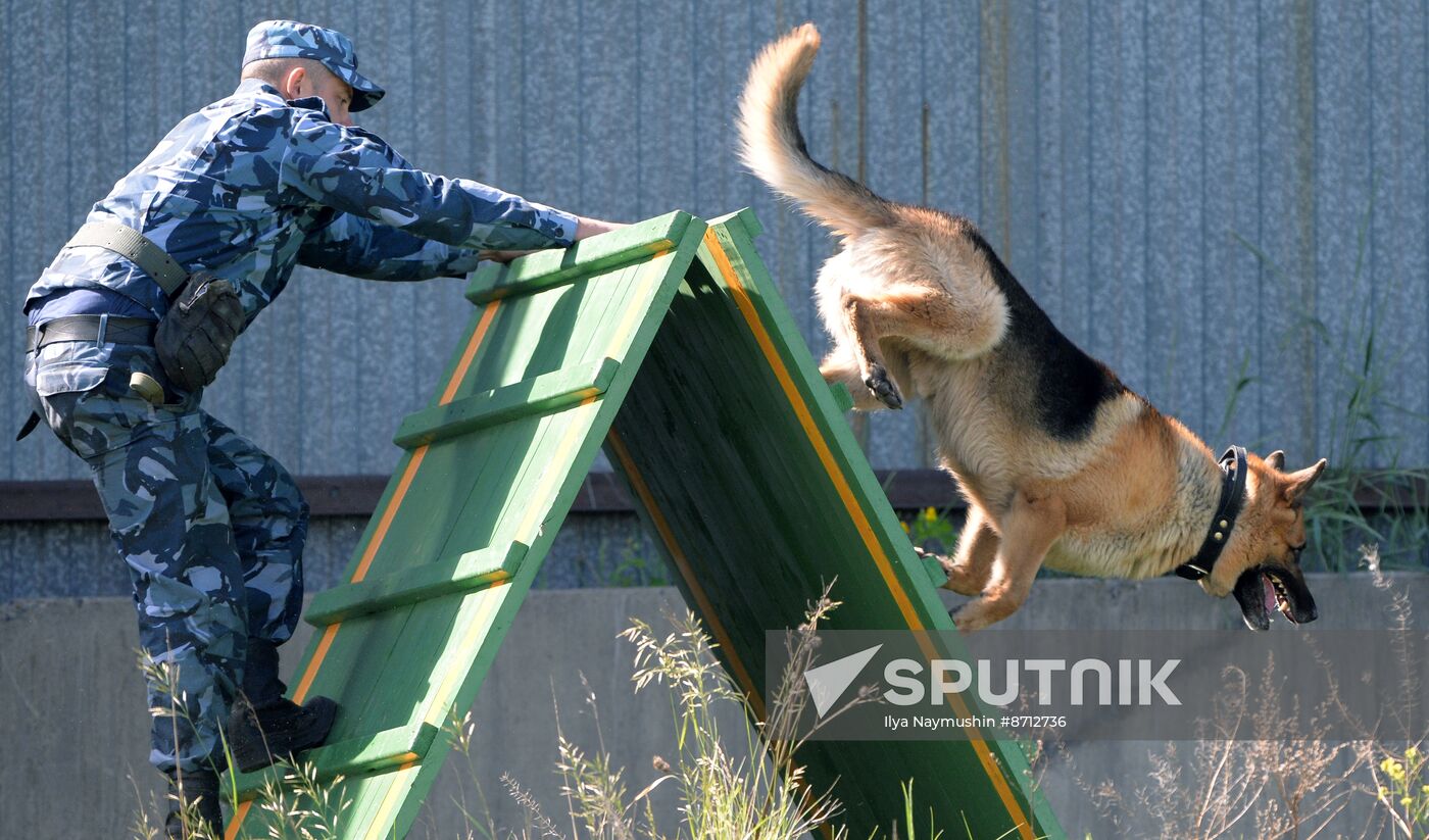 Russia Dog Handlers Competition