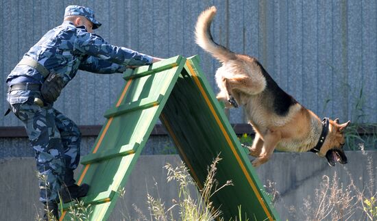Russia Dog Handlers Competition