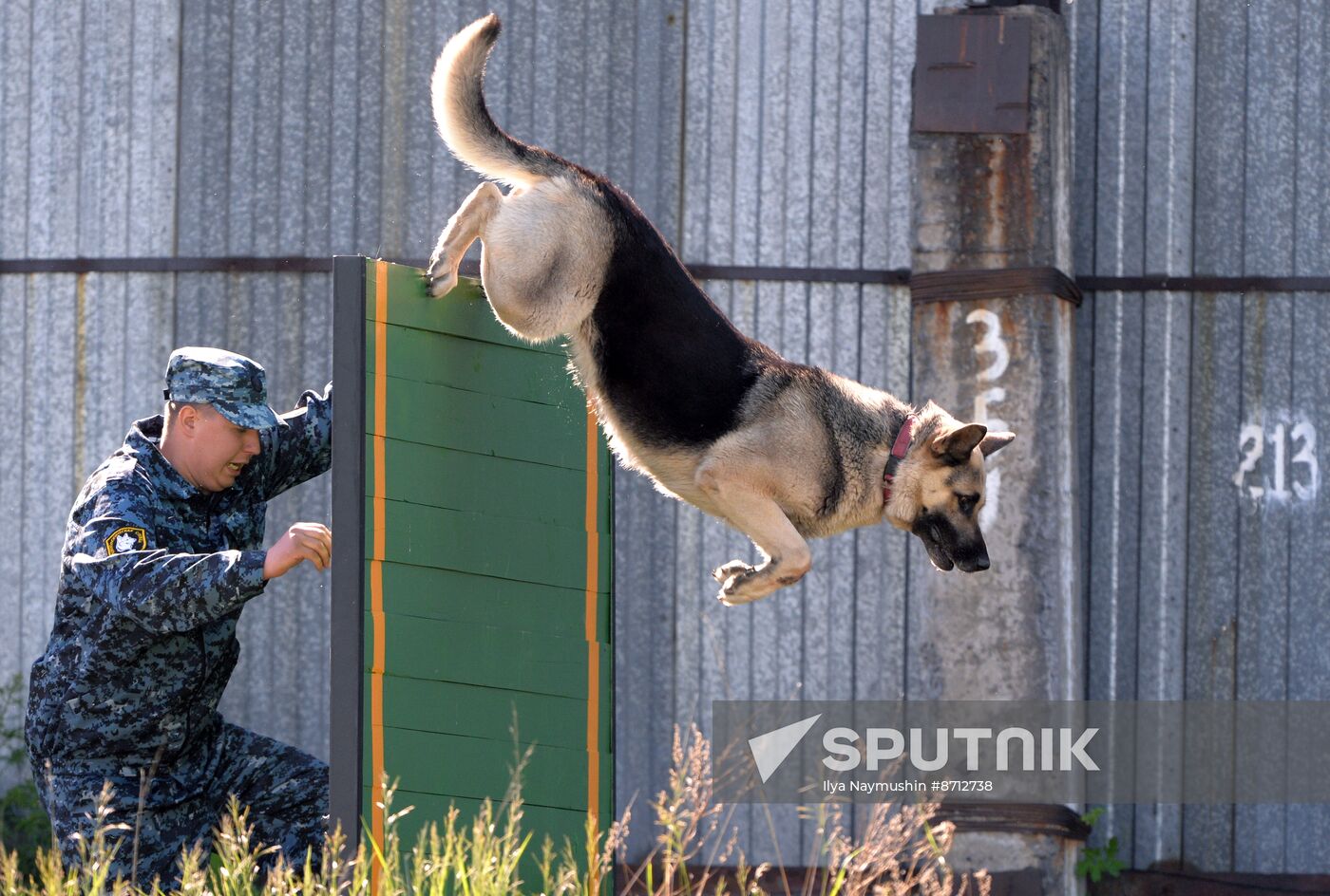 Russia Dog Handlers Competition