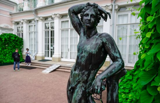 Russia Museum Peterhof Chinese Palace