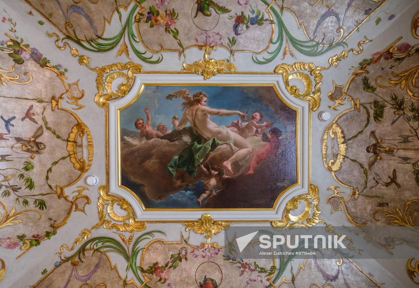 Russia Museum Peterhof Chinese Palace