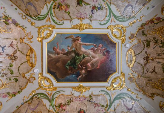 Russia Museum Peterhof Chinese Palace