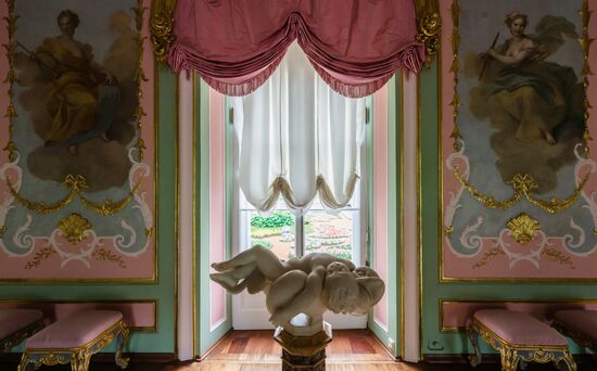 Russia Museum Peterhof Chinese Palace