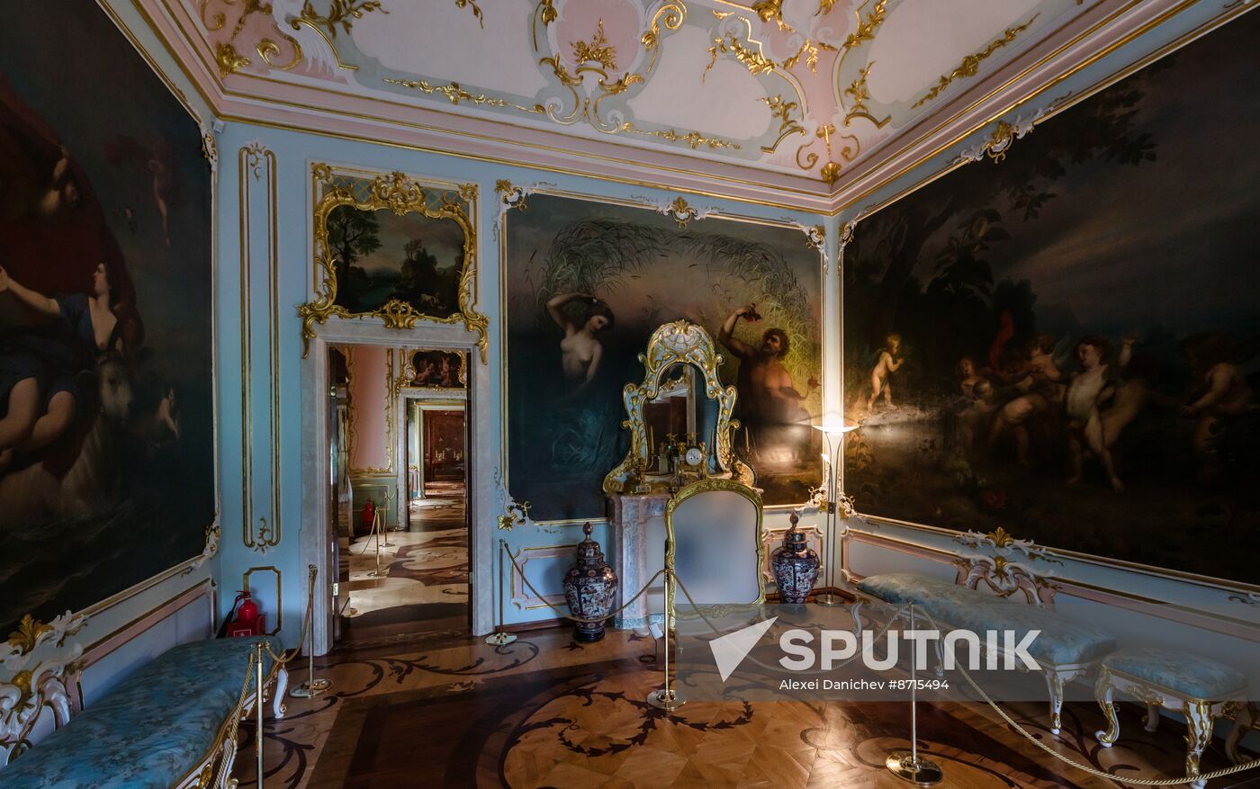 Russia Museum Peterhof Chinese Palace