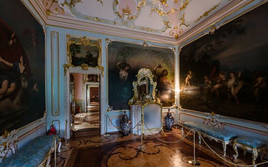 Russia Museum Peterhof Chinese Palace