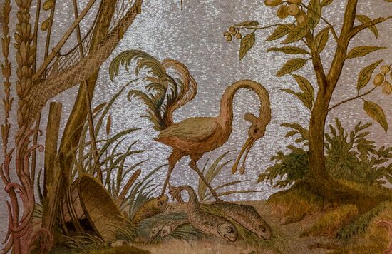 Russia Museum Peterhof Chinese Palace