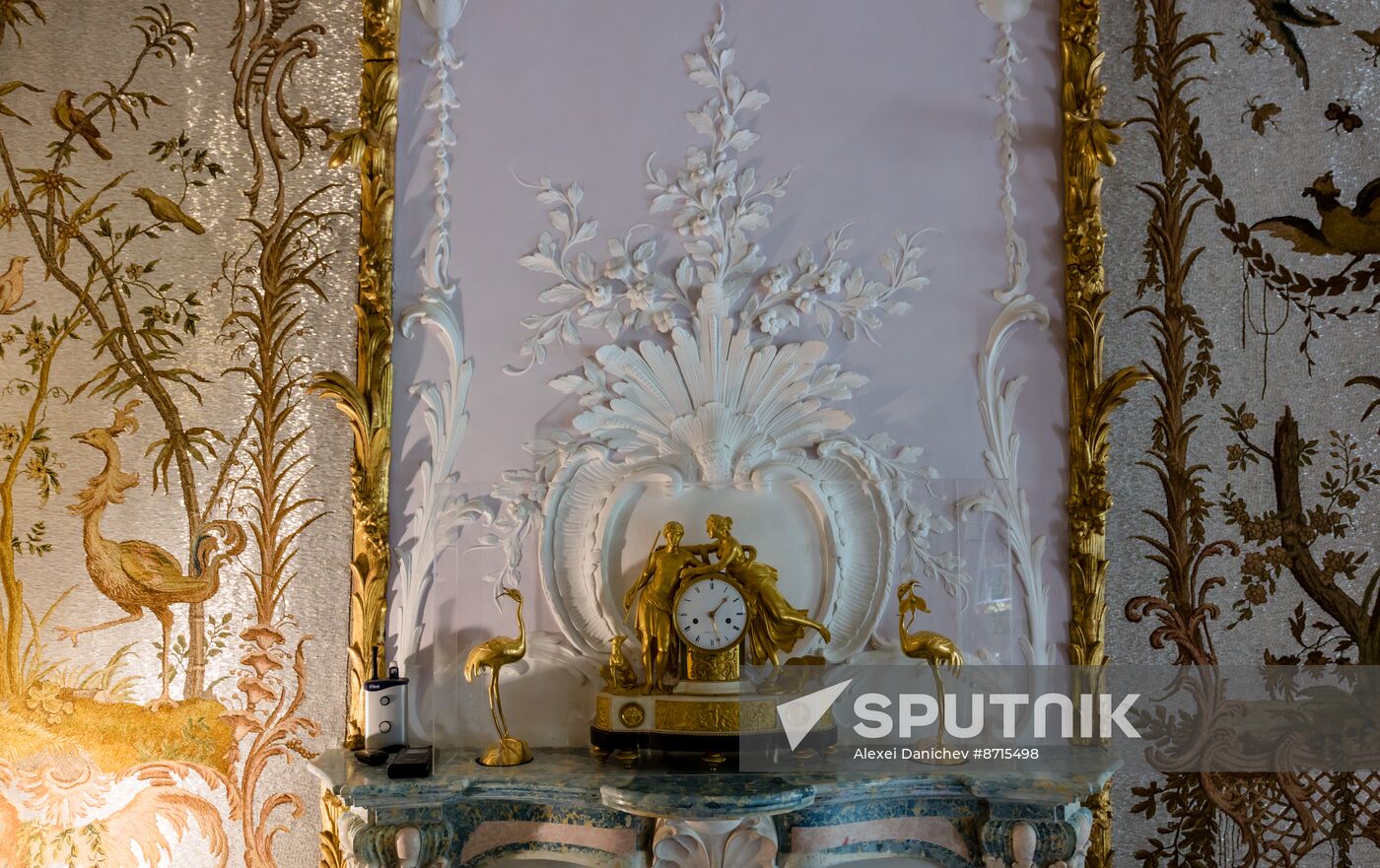 Russia Museum Peterhof Chinese Palace