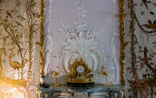 Russia Museum Peterhof Chinese Palace