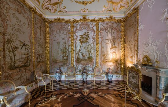 Russia Museum Peterhof Chinese Palace