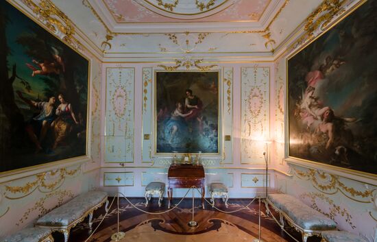 Russia Museum Peterhof Chinese Palace