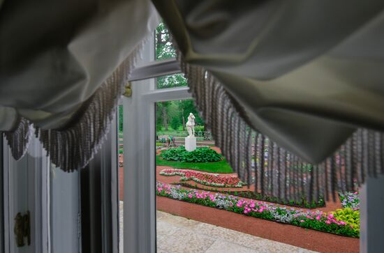 Russia Museum Peterhof Chinese Palace