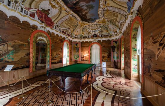 Russia Museum Peterhof Chinese Palace