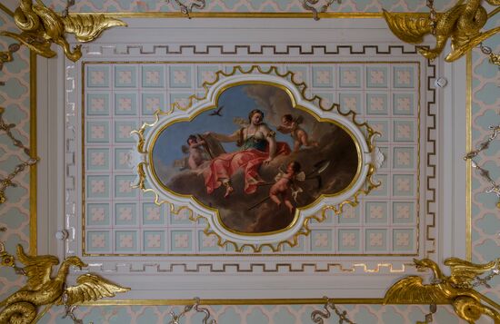 Russia Museum Peterhof Chinese Palace