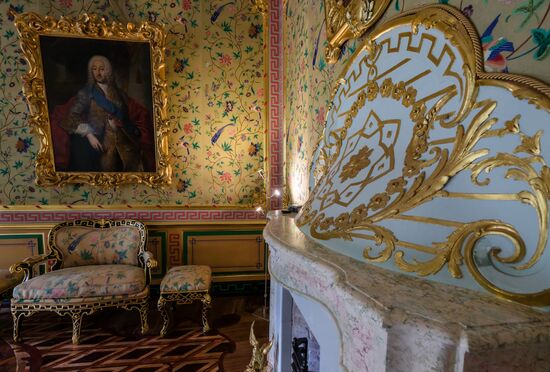 Russia Museum Peterhof Chinese Palace