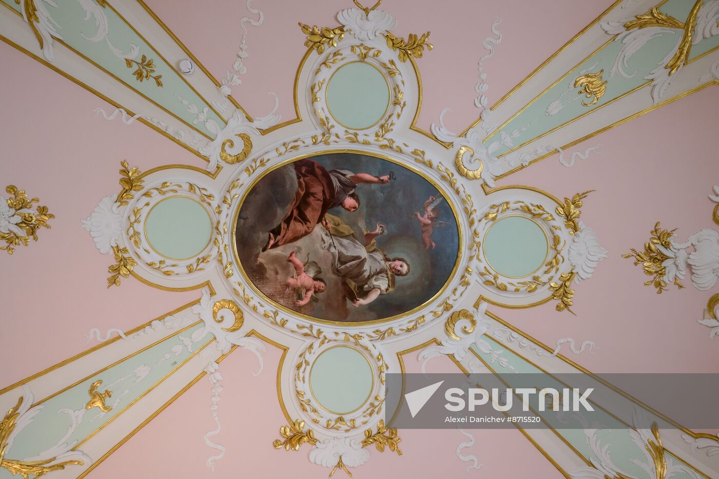 Russia Museum Peterhof Chinese Palace