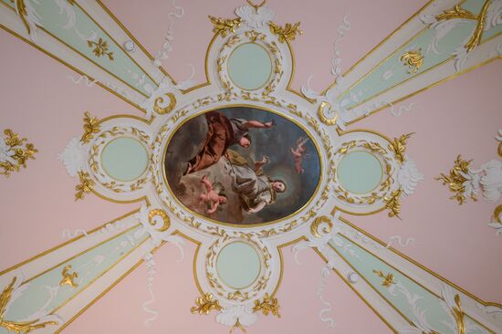 Russia Museum Peterhof Chinese Palace