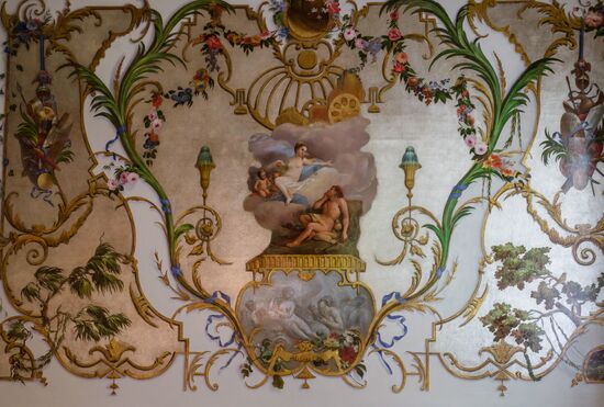 Russia Museum Peterhof Chinese Palace