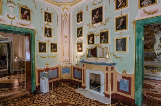 Russia Museum Peterhof Chinese Palace