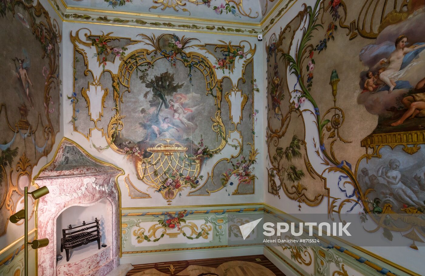 Russia Museum Peterhof Chinese Palace