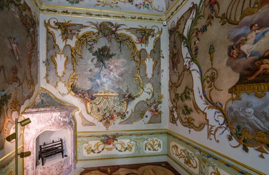 Russia Museum Peterhof Chinese Palace