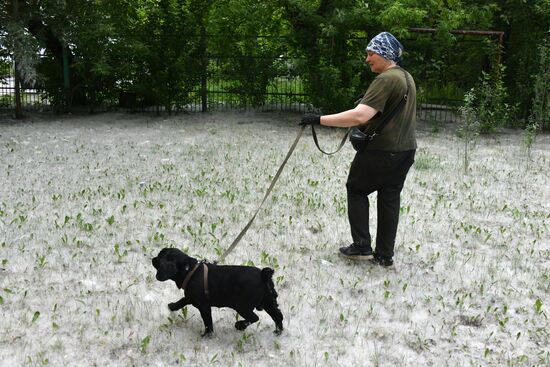 Russia Daily Life