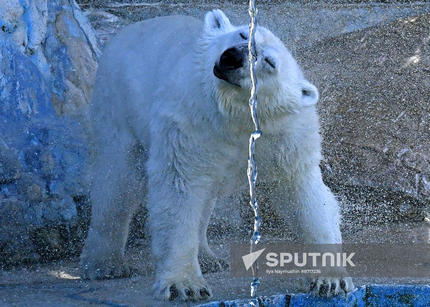 Russia Zoo