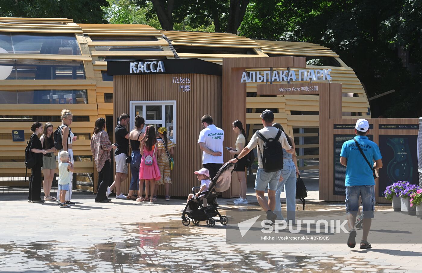 Russia Zoo Alpacas