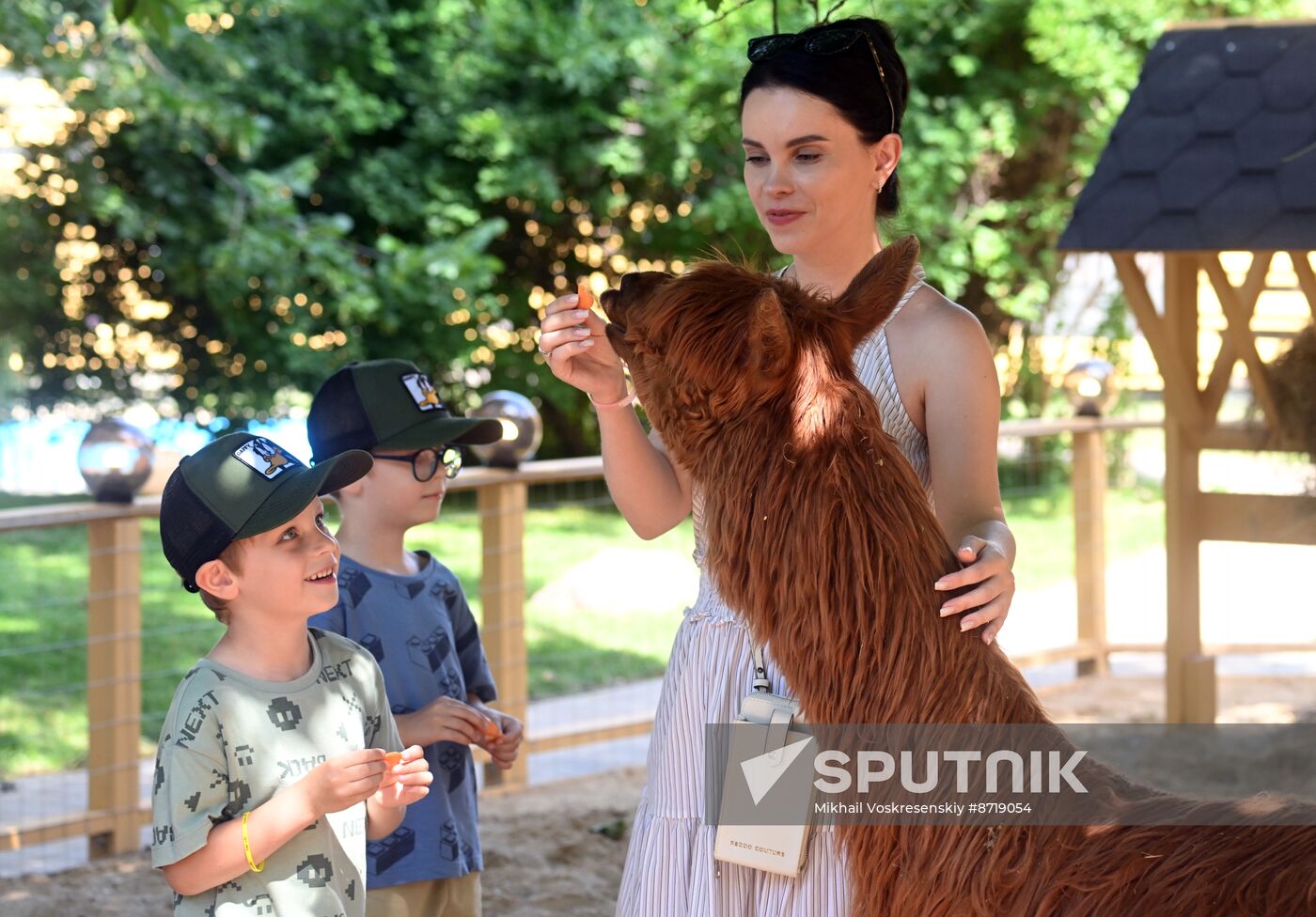 Russia Zoo Alpacas