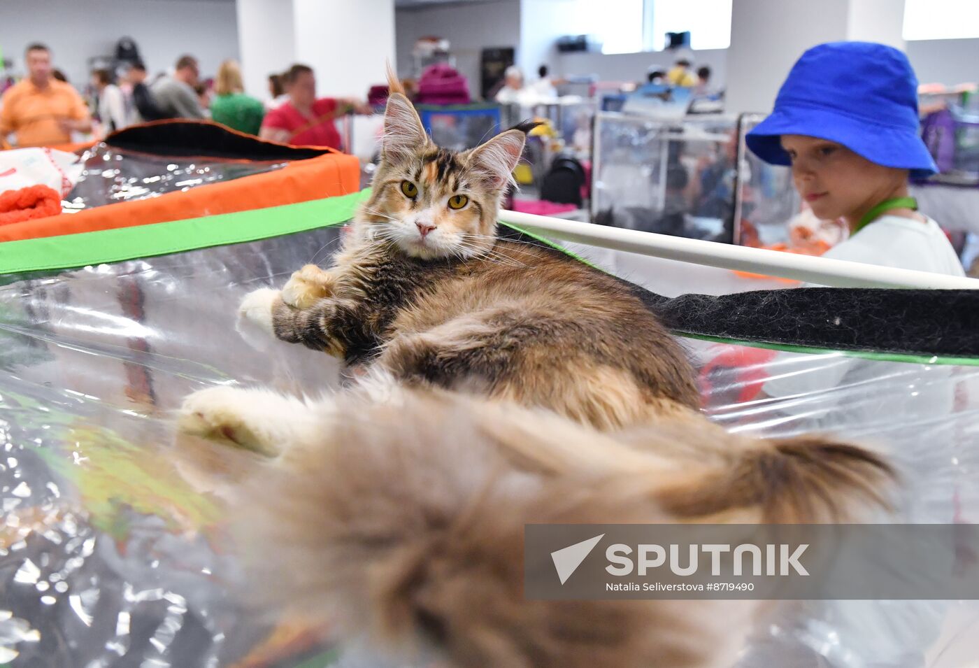 Russia Cat Show