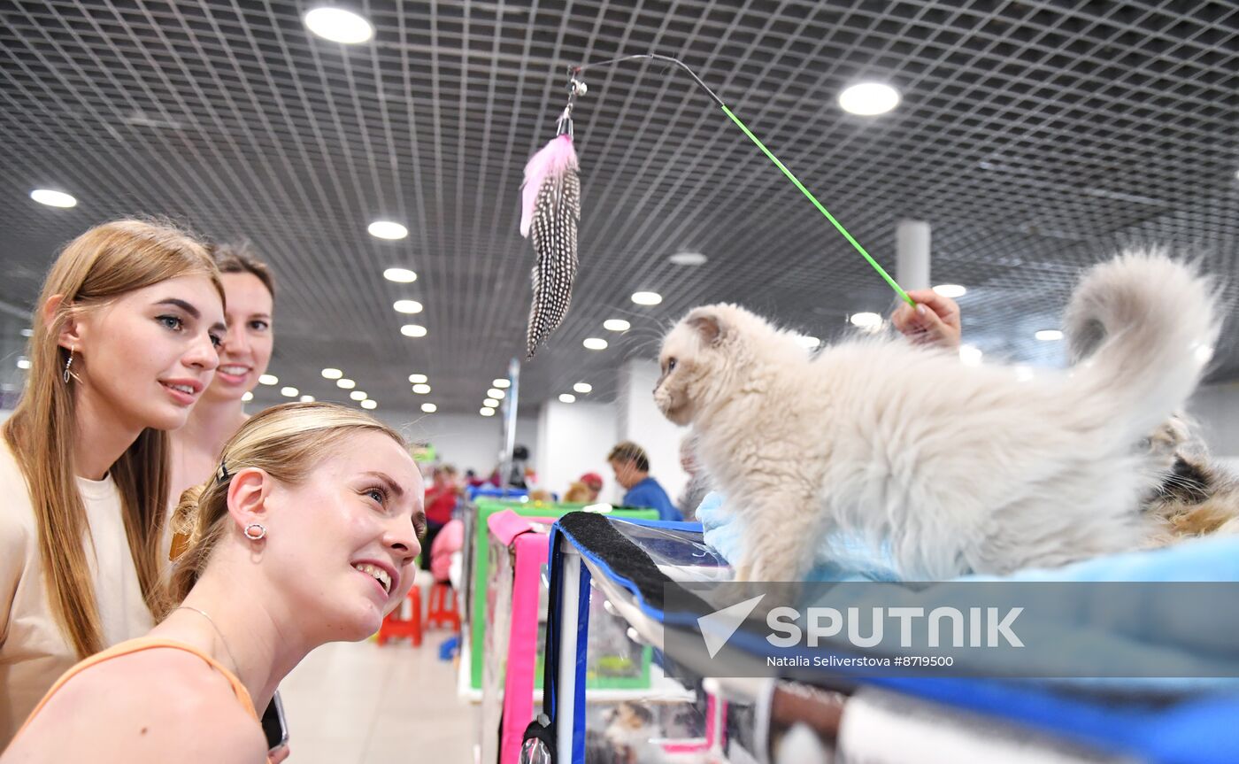 Russia Cat Show