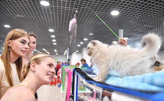 Russia Cat Show