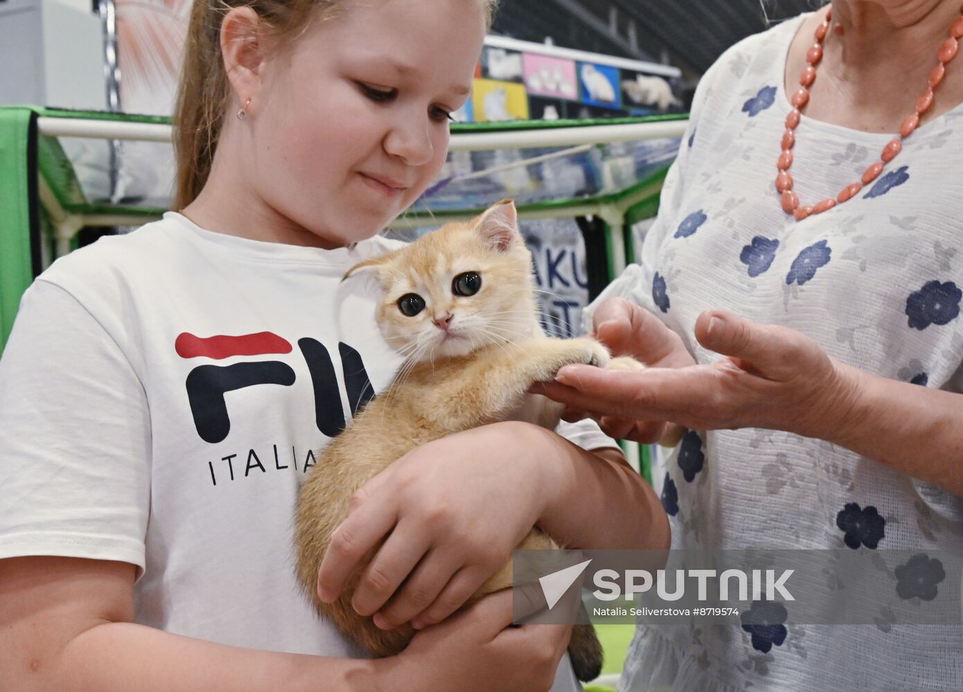 Russia Cat Show