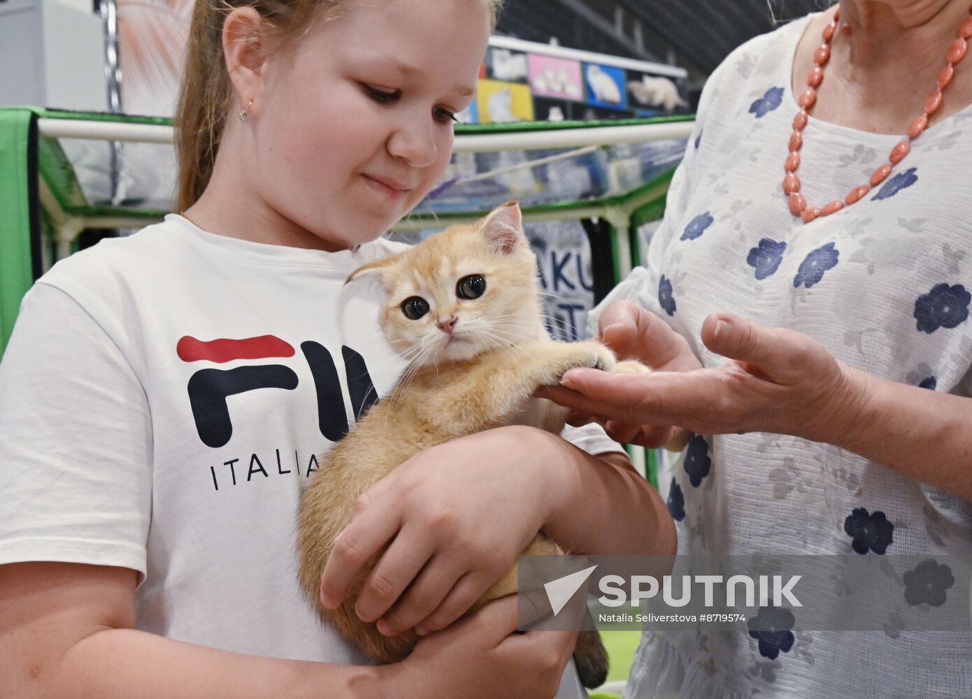 Russia Cat Show