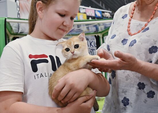 Russia Cat Show