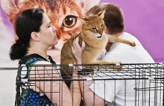 Russia Cat Show