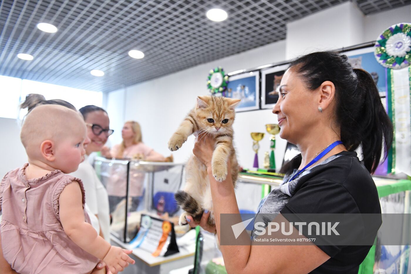 Russia Cat Show