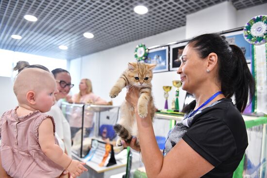 Russia Cat Show