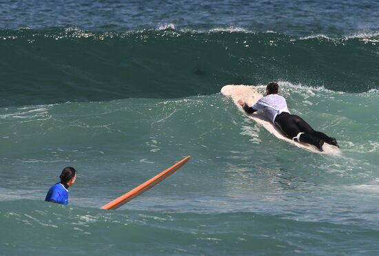 Russia Surfing Championship