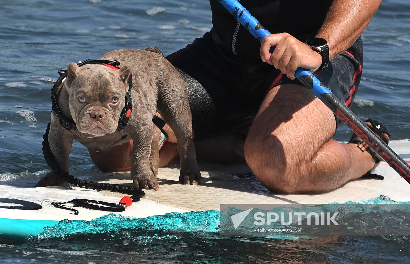 Russia Surfing Championship