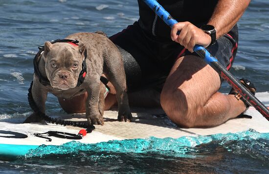 Russia Surfing Championship