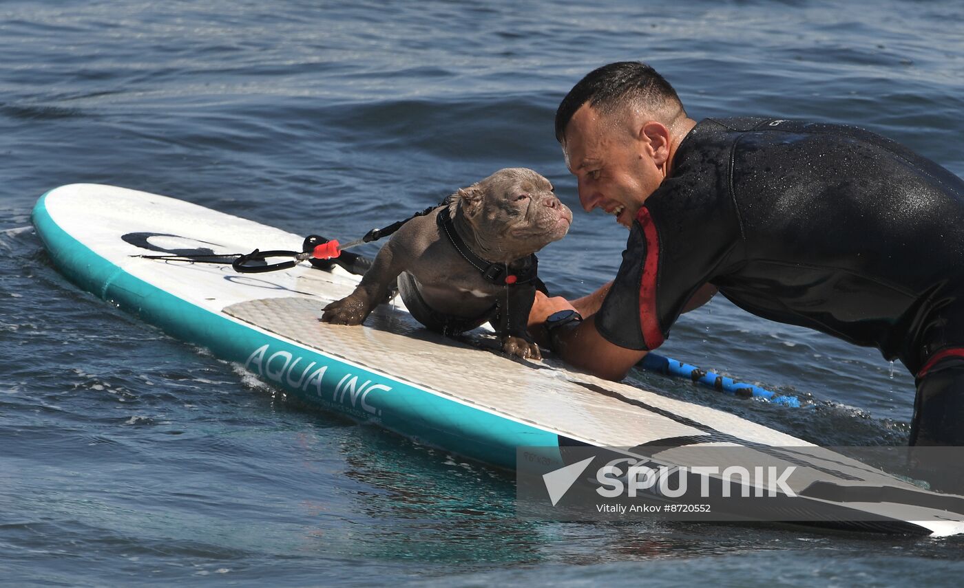 Russia Surfing Championship