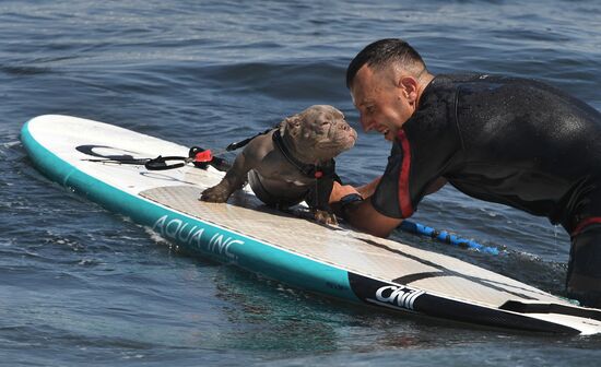 Russia Surfing Championship