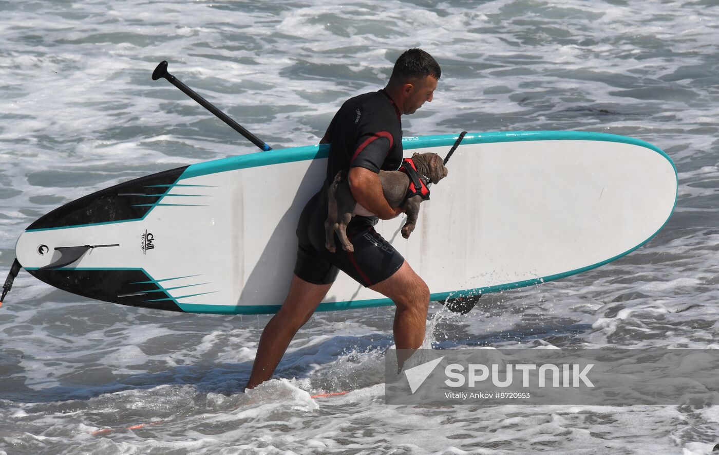 Russia Surfing Championship