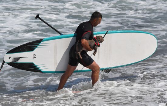 Russia Surfing Championship