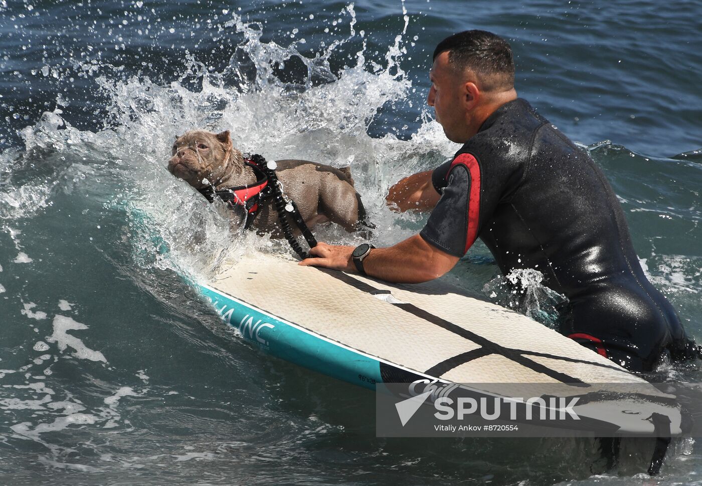 Russia Surfing Championship