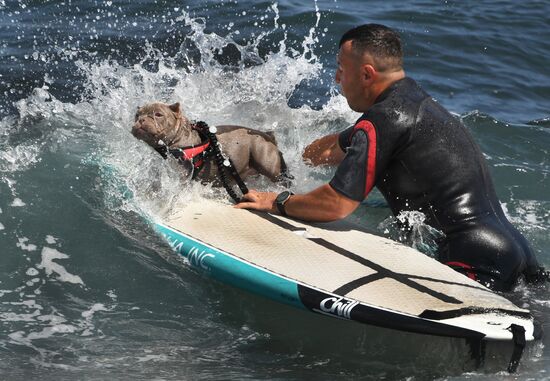 Russia Surfing Championship