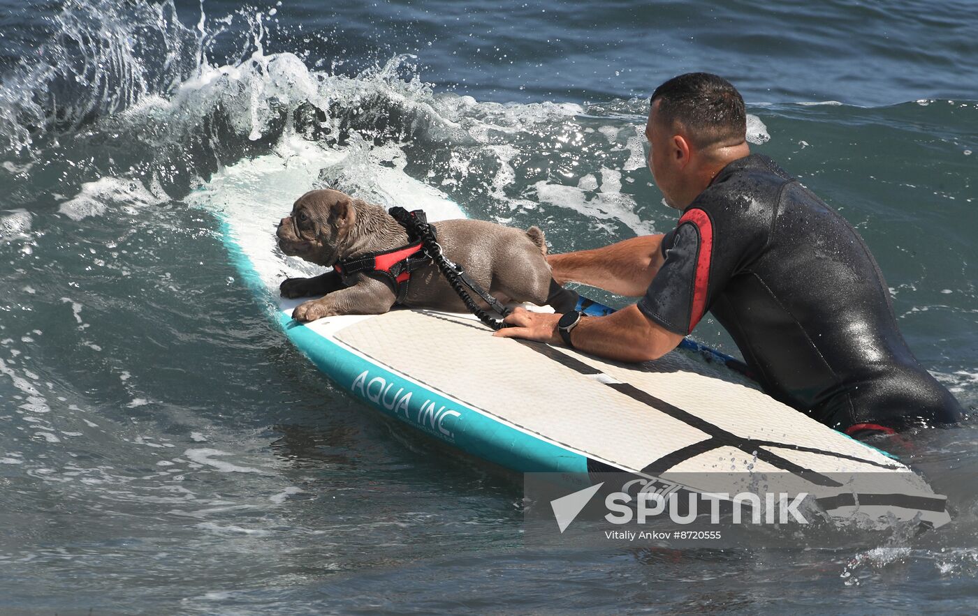 Russia Surfing Championship