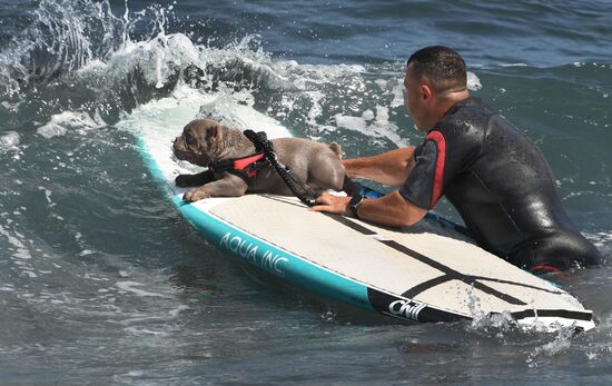 Russia Surfing Championship